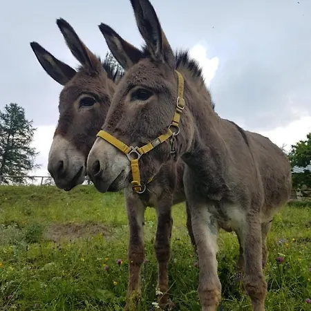 Agri-b&b Lou Col 3* Canosio