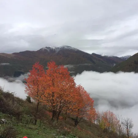 Oda ve Kahvaltı Agri-b&b Lou Col 3*