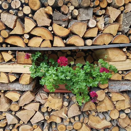 Agri-b&b Lou Col Nocleg ze śniadaniem Canosio