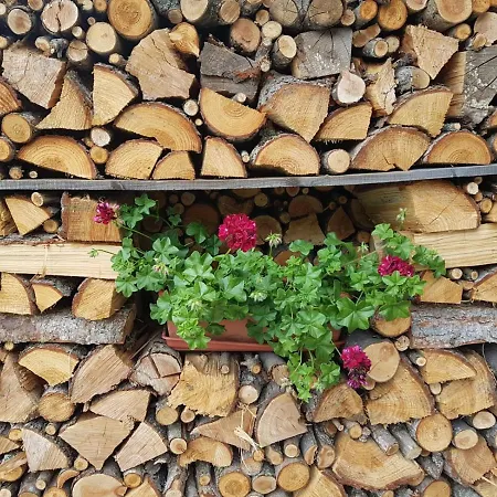 Agri-b&b Lou Col Oda ve Kahvaltı Canosio