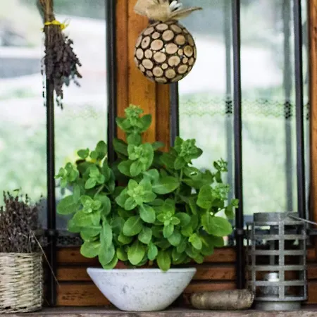 Agri-b&b Lou Col 3* Canosio