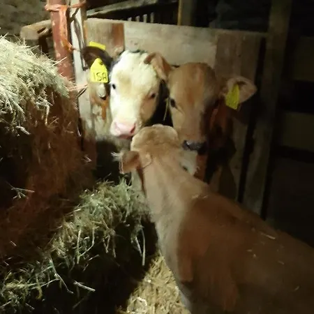 Agri-b&b Lou Col Oda ve Kahvaltı 3*