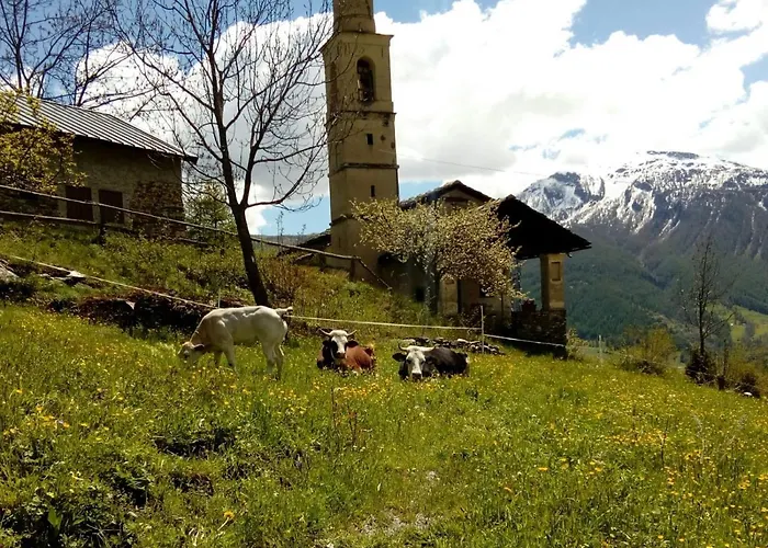 Agri-b&b Lou Col Отель типа 