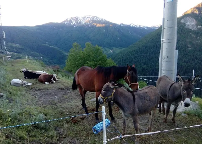 Agri-b&b Lou Col 3* Canosio