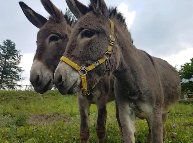 Agri-b&b Lou Col 3* Canosio