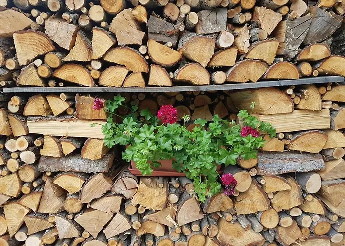 Agri-b&b Lou Col Отель типа 