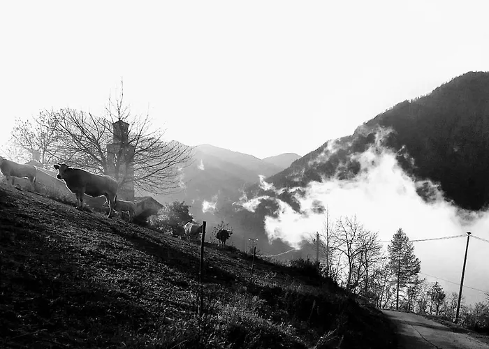 Agri-b&b Lou Col Bed & Breakfast Canosio