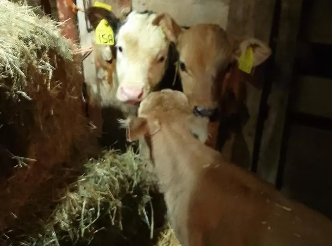 Agri-b&b Lou Col Отель типа 