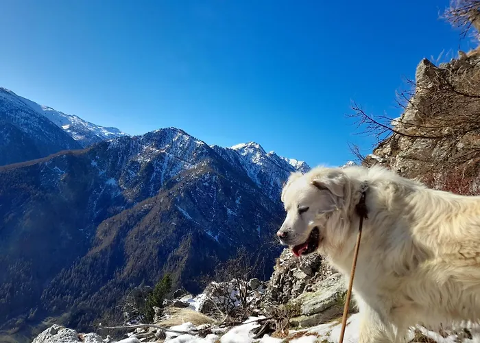 Agri-b&b Lou Col 3* Canosio