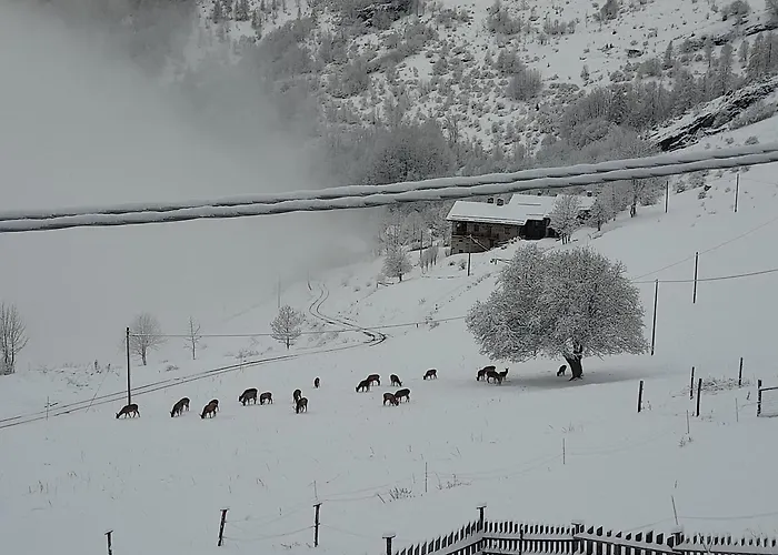 Agri-b&b Lou Col Отель типа 